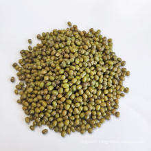 Hebei Green Mung Beans Seed Sprouting Starch For Sale